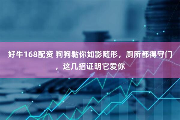 好牛168配资 狗狗黏你如影随形，厕所都得守门，这几招证明它爱你