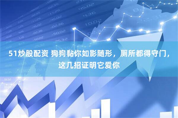 51炒股配资 狗狗黏你如影随形，厕所都得守门，这几招证明它爱你