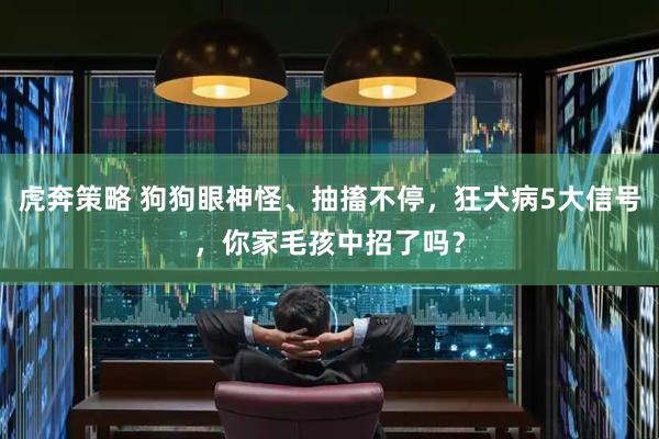 虎奔策略 狗狗眼神怪、抽搐不停，狂犬病5大信号，你家毛孩中招了吗？