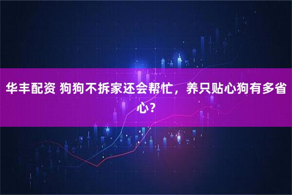 华丰配资 狗狗不拆家还会帮忙，养只贴心狗有多省心？