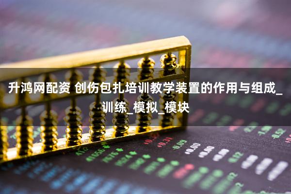 升鸿网配资 创伤包扎培训教学装置的作用与组成_训练_模拟_模块