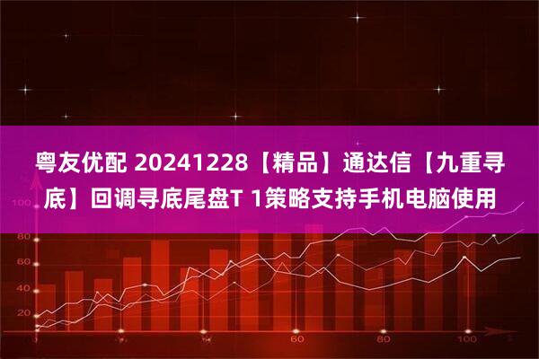 粤友优配 20241228【精品】通达信【九重寻底】回调寻底尾盘T 1策略支持手机电脑使用