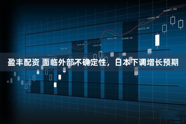 盈丰配资 面临外部不确定性，日本下调增长预期