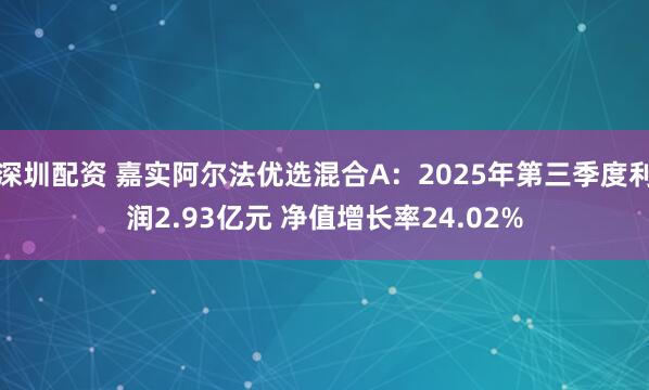 深圳配资 嘉实阿尔法优选混合A：2025年第三季度利润2.93亿元 净值增长率24.02%