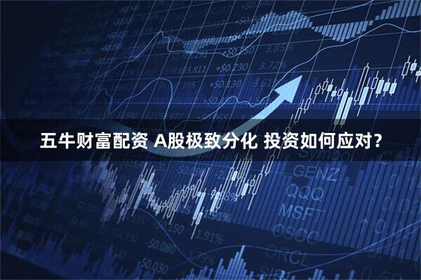 五牛财富配资 A股极致分化 投资如何应对？